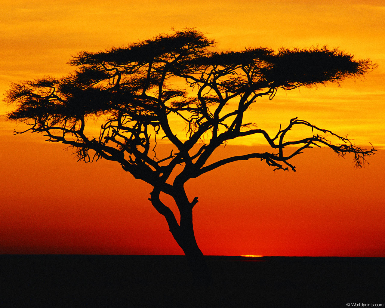 Petersen, James E Esq